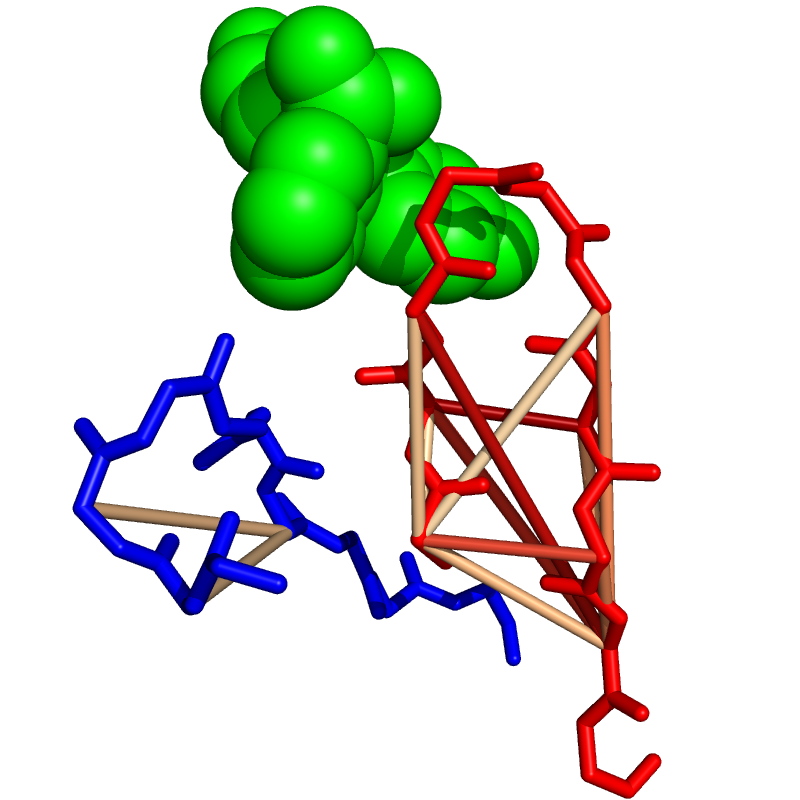 Antibody displays epistasis