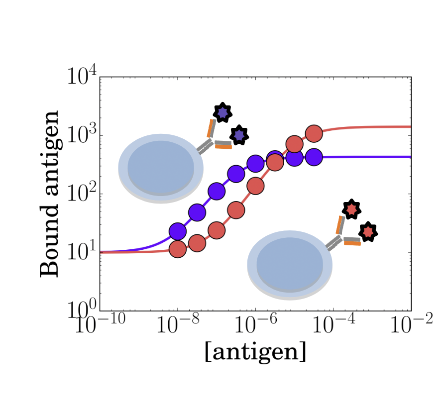 Tite-seq